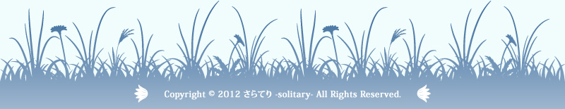 Copyright 2012 Ă-solitary-